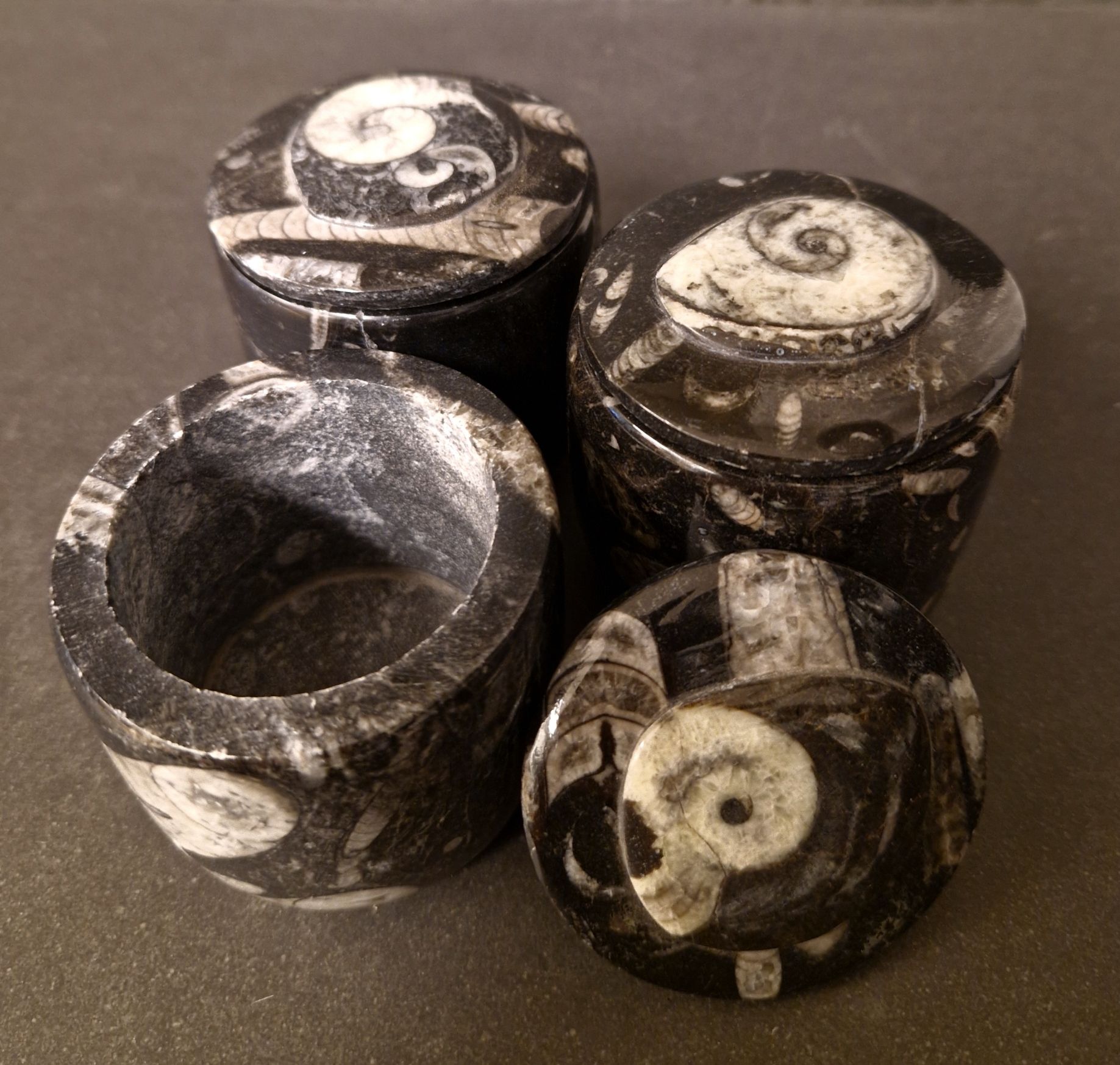 Svart Rund Fossil sten ask - 2
