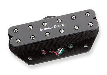 Pearly Gates for Tele Lead Blk