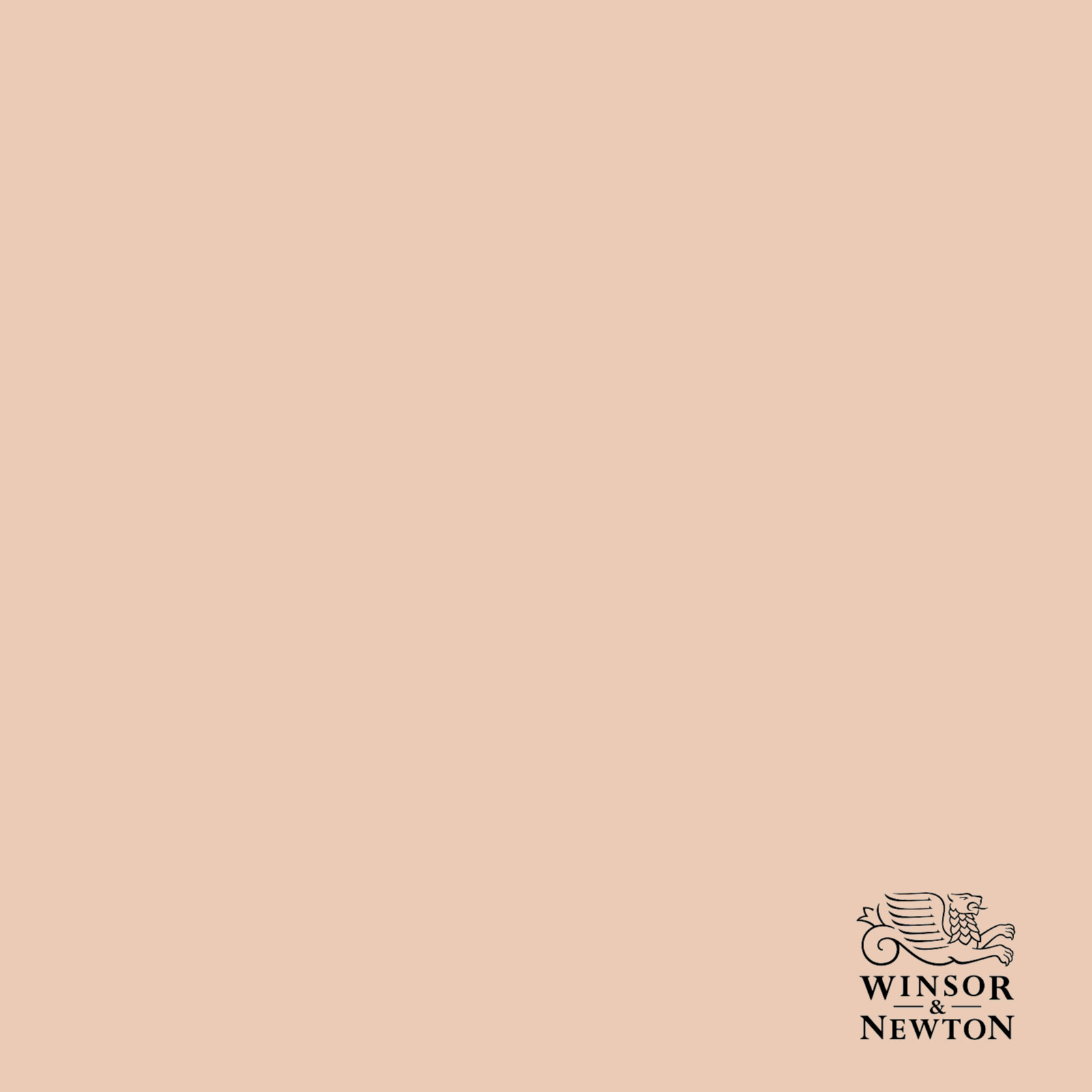 W&N FLESH TINT 257, 60 ml