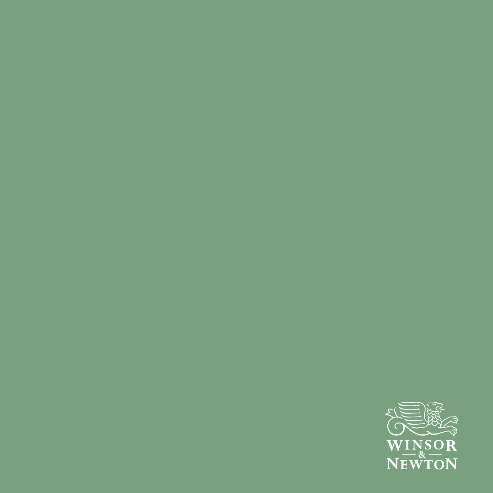 W&N PALE OLIVE 435, 60 ml