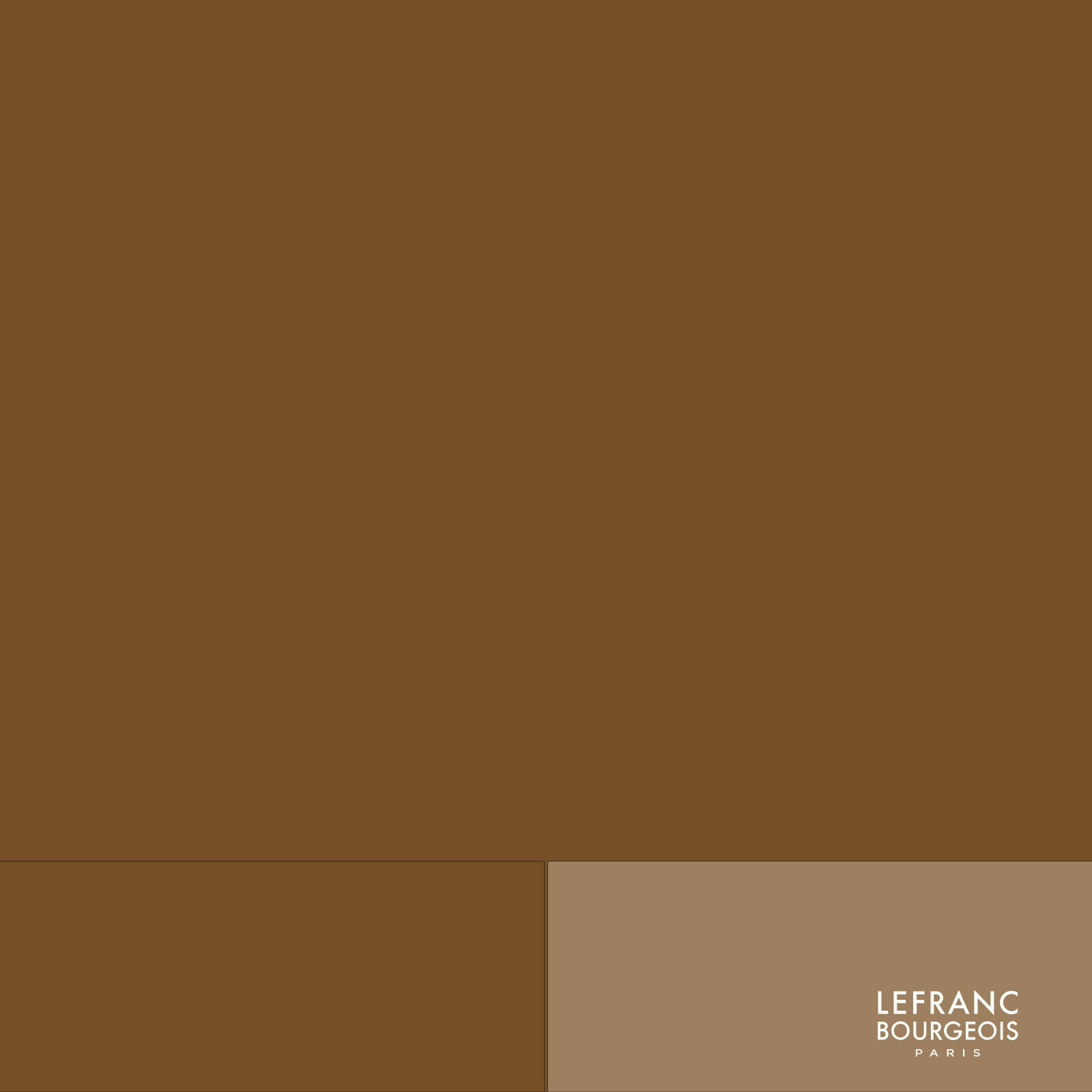 LEFRANC & BOURGEOIS FLASHE RAW UMBER 478, 125 ml