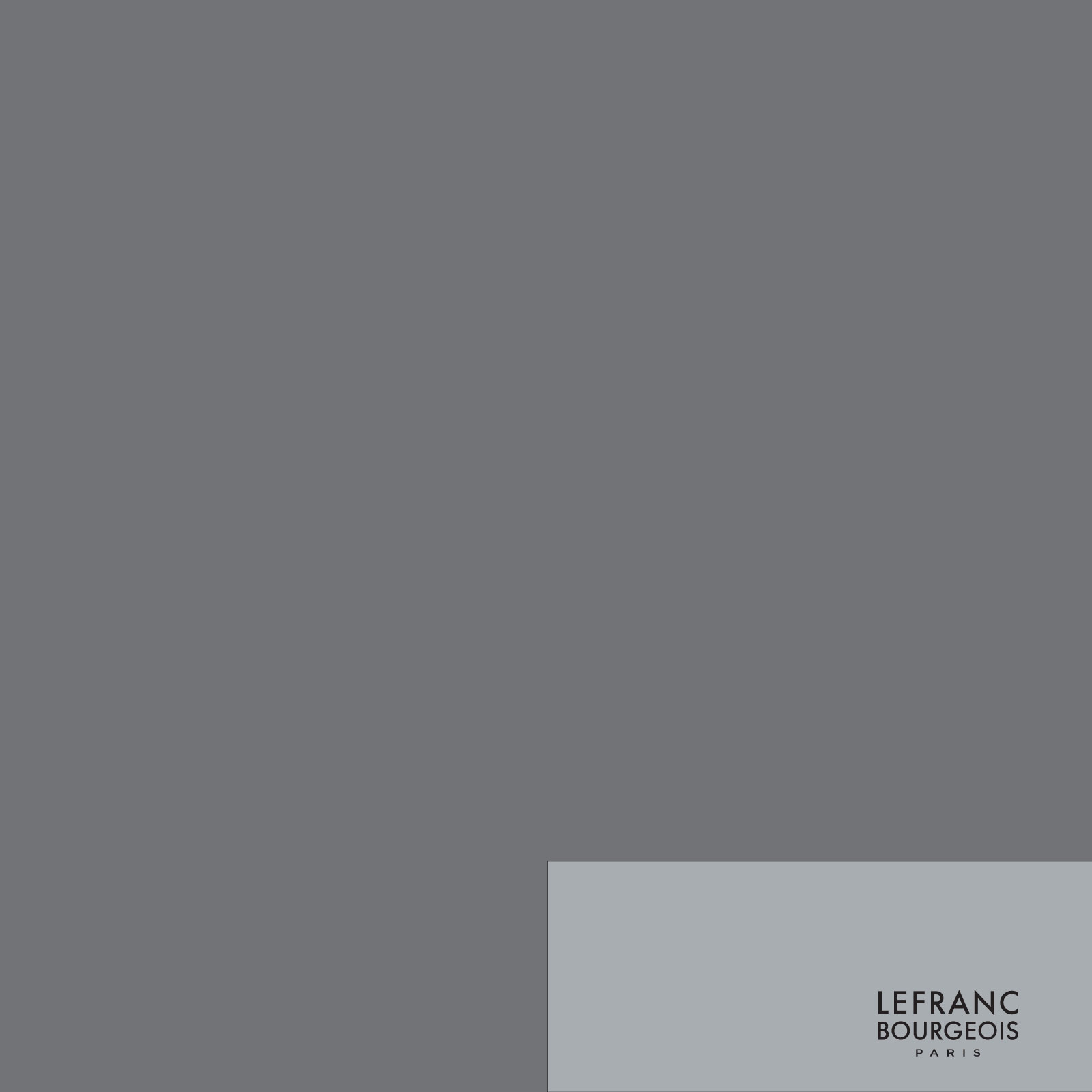 LEFRANC & BOURGEOIS FLASHE NEUTRAL GREY 258, 125 ml