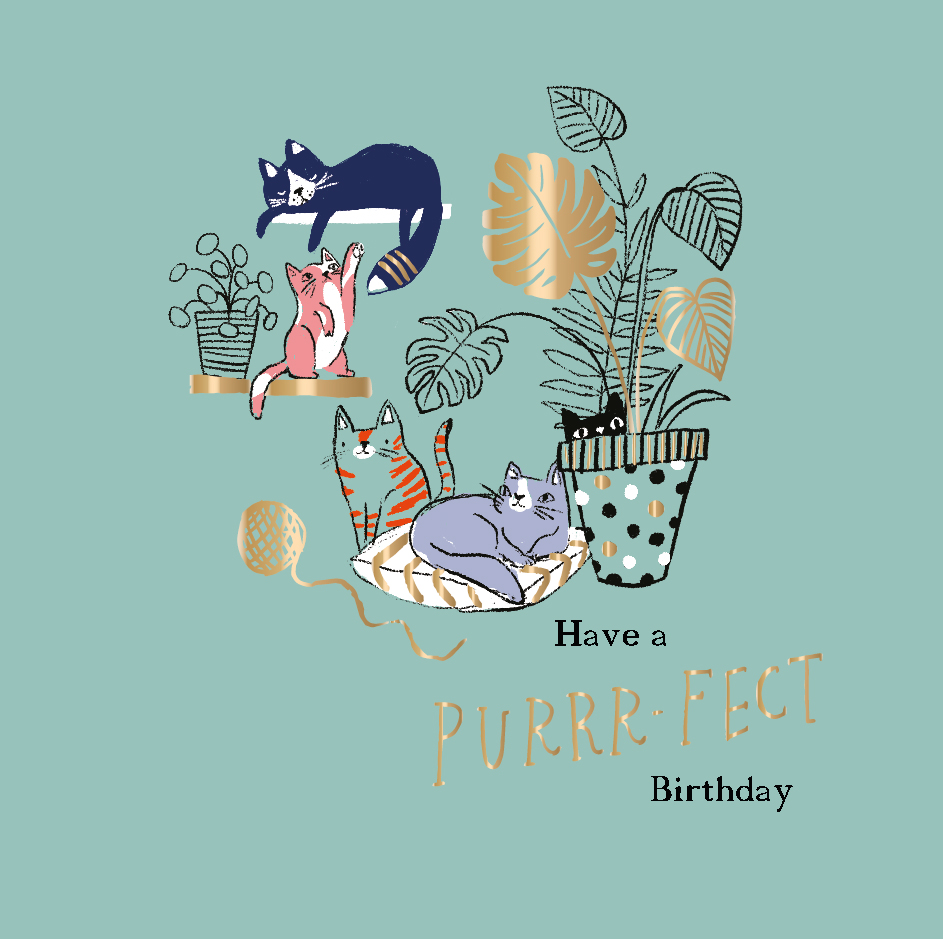 Purr-fect Birthday, Greeting Card