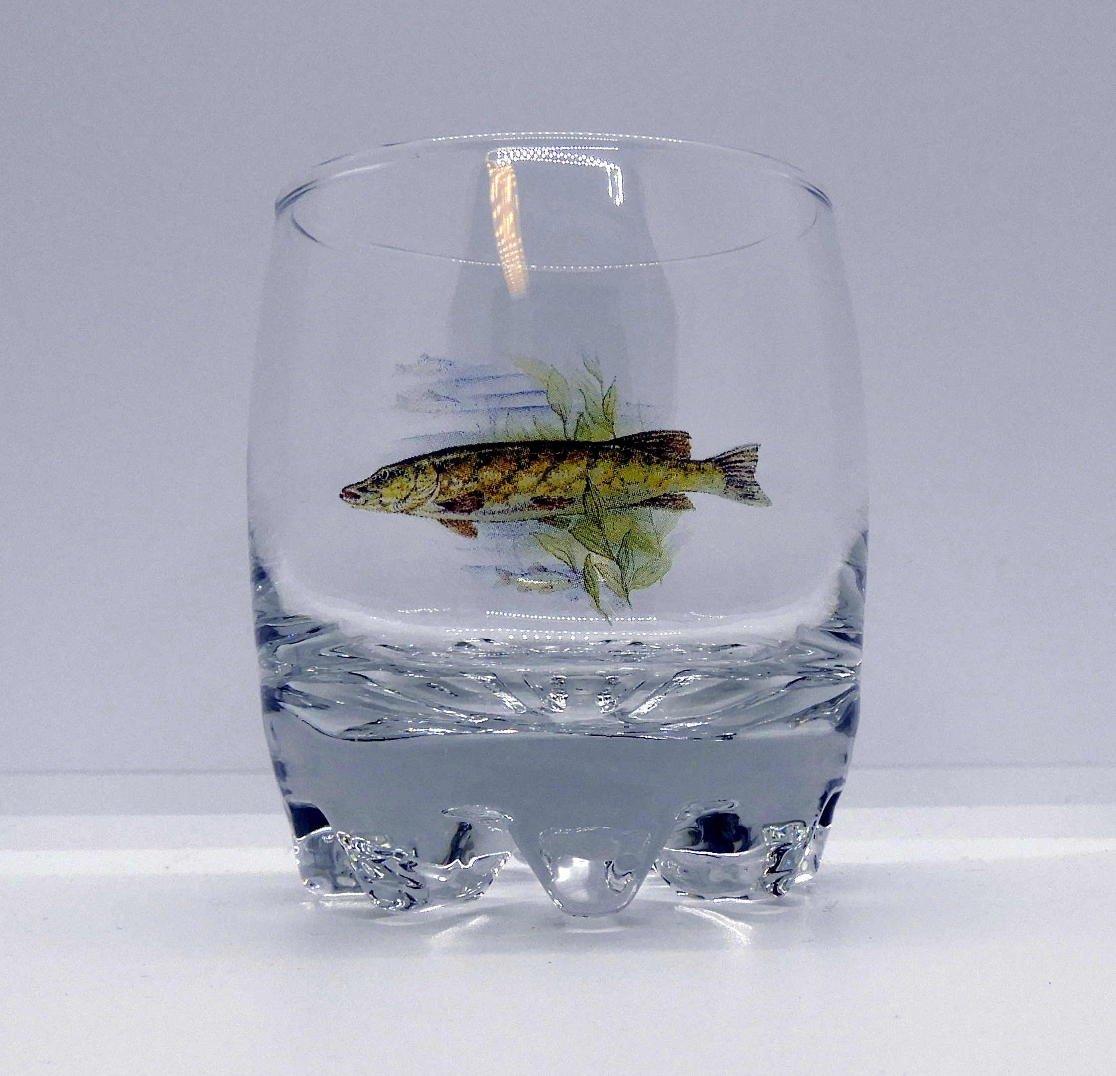 Galassia Whiskyglas Fisk 1 