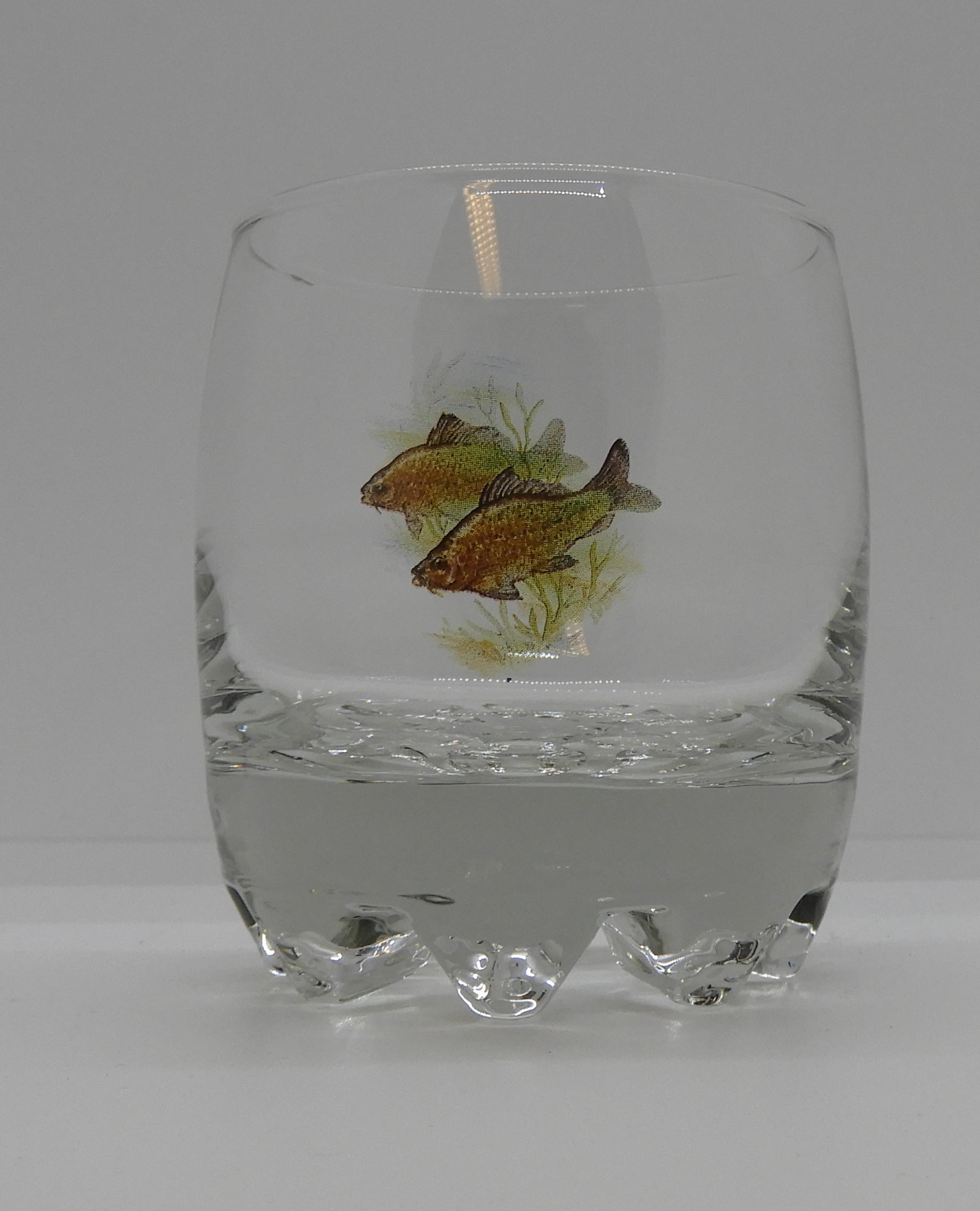 Galassia Whiskyglas Fisk 2 