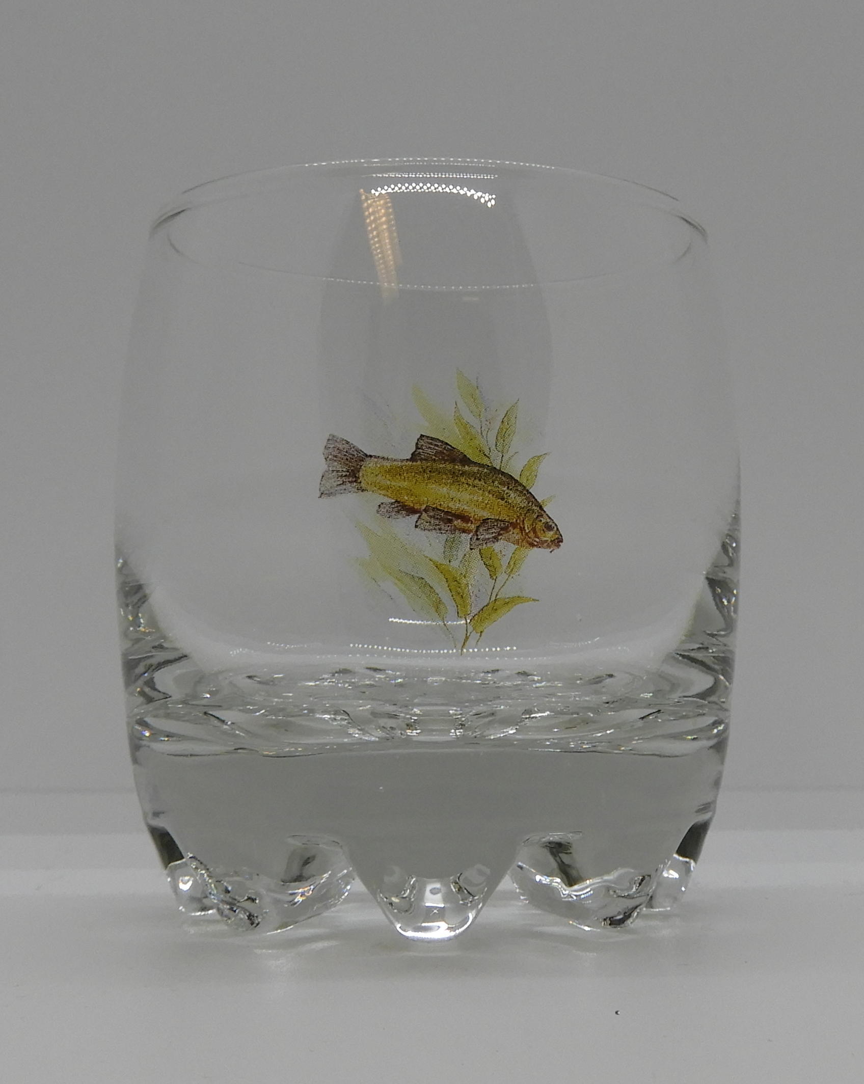 Galassia Whiskyglas Fisk 3