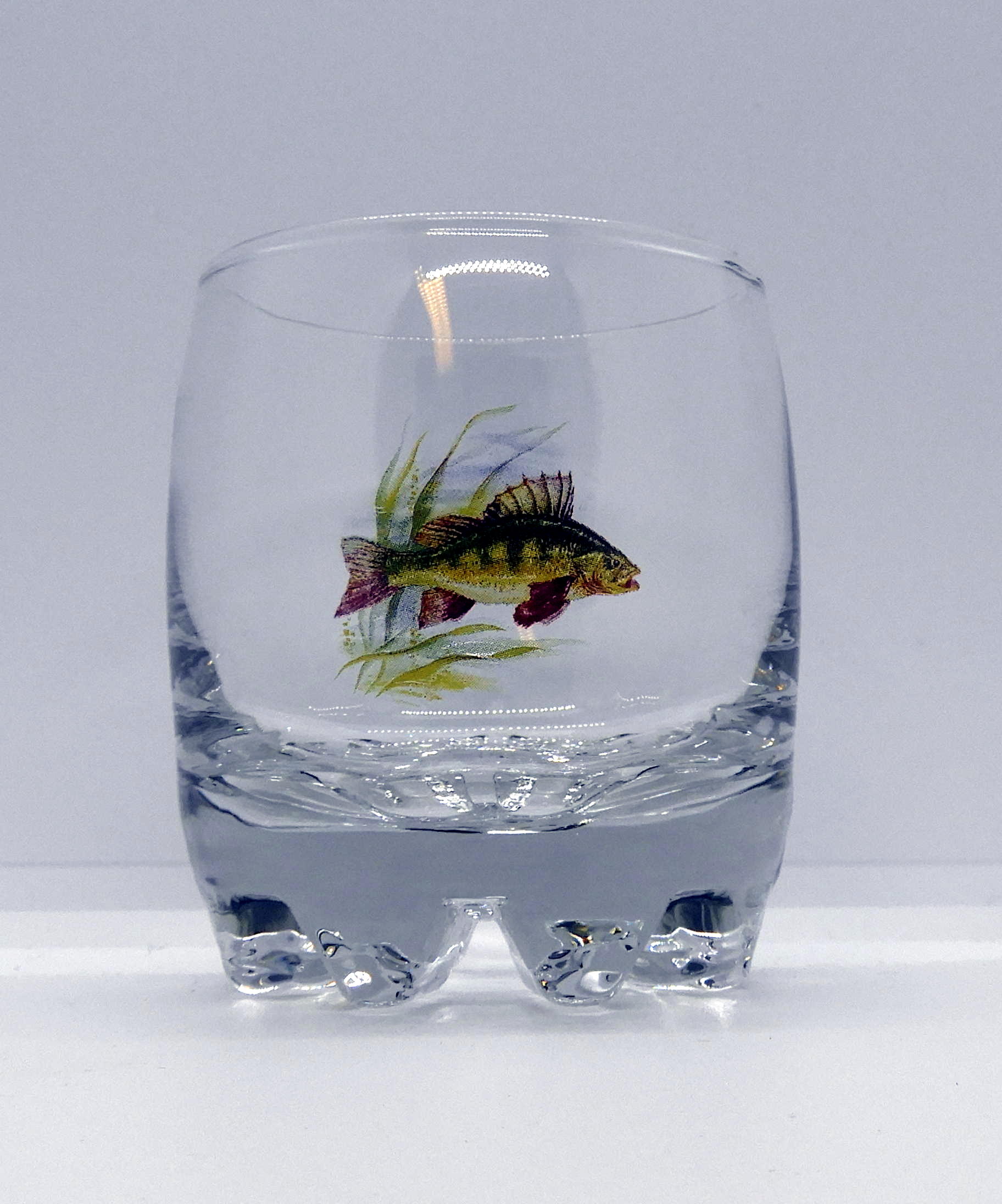 Galassia Whiskyglas Fisk 5