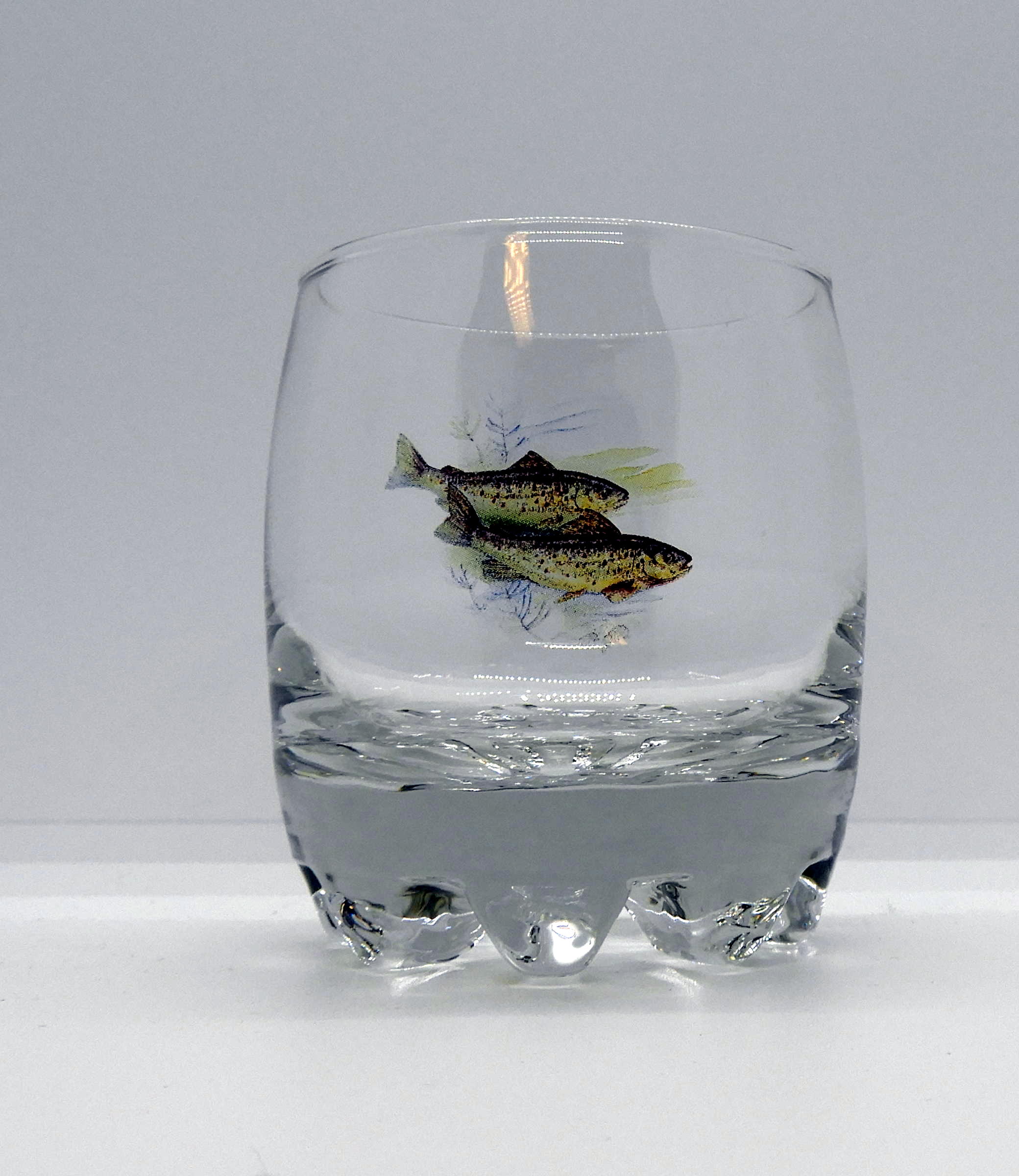 Galassia Whiskyglas Fisk 6