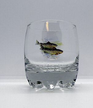 Galassia Whiskyglas Fisk 6
