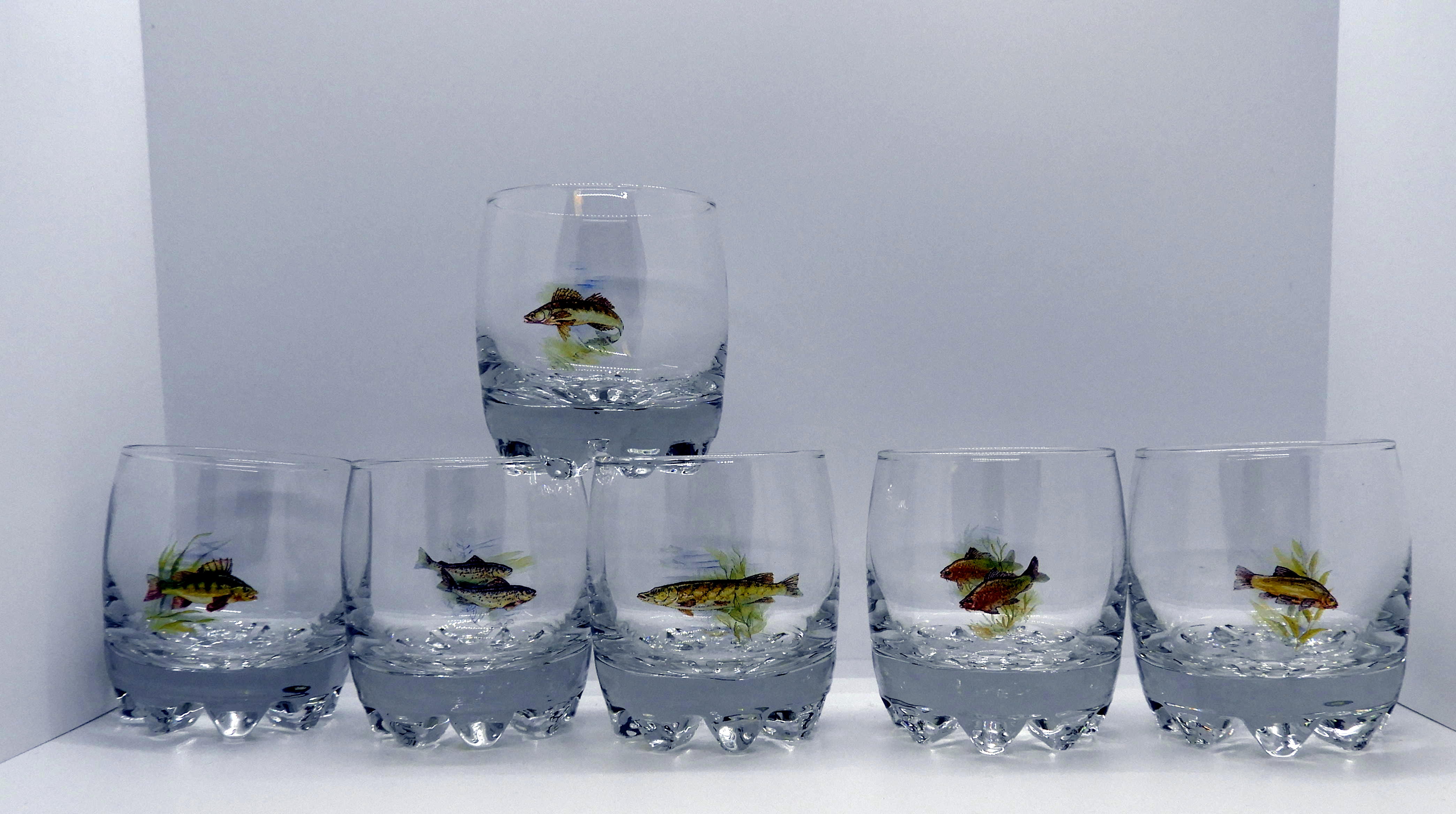 Galassia Whiskyglas Fisk 6 pack