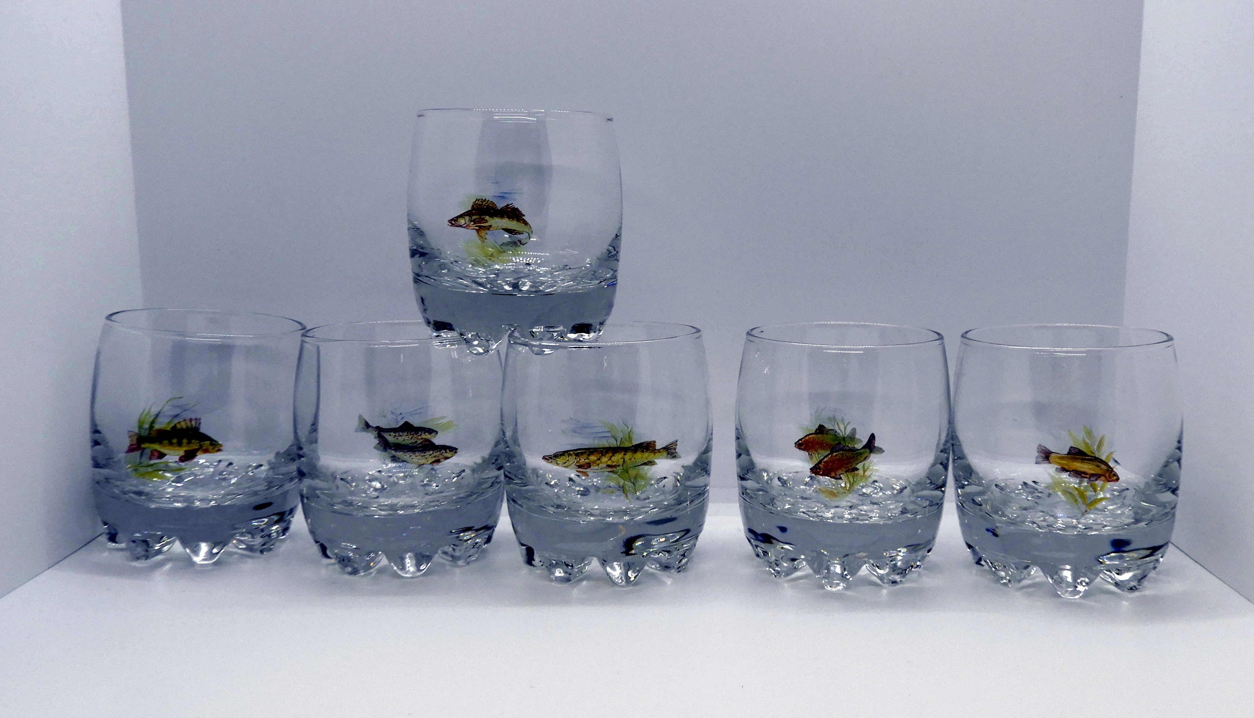 Galassia Whiskyglas Fisk 6 pack - 2