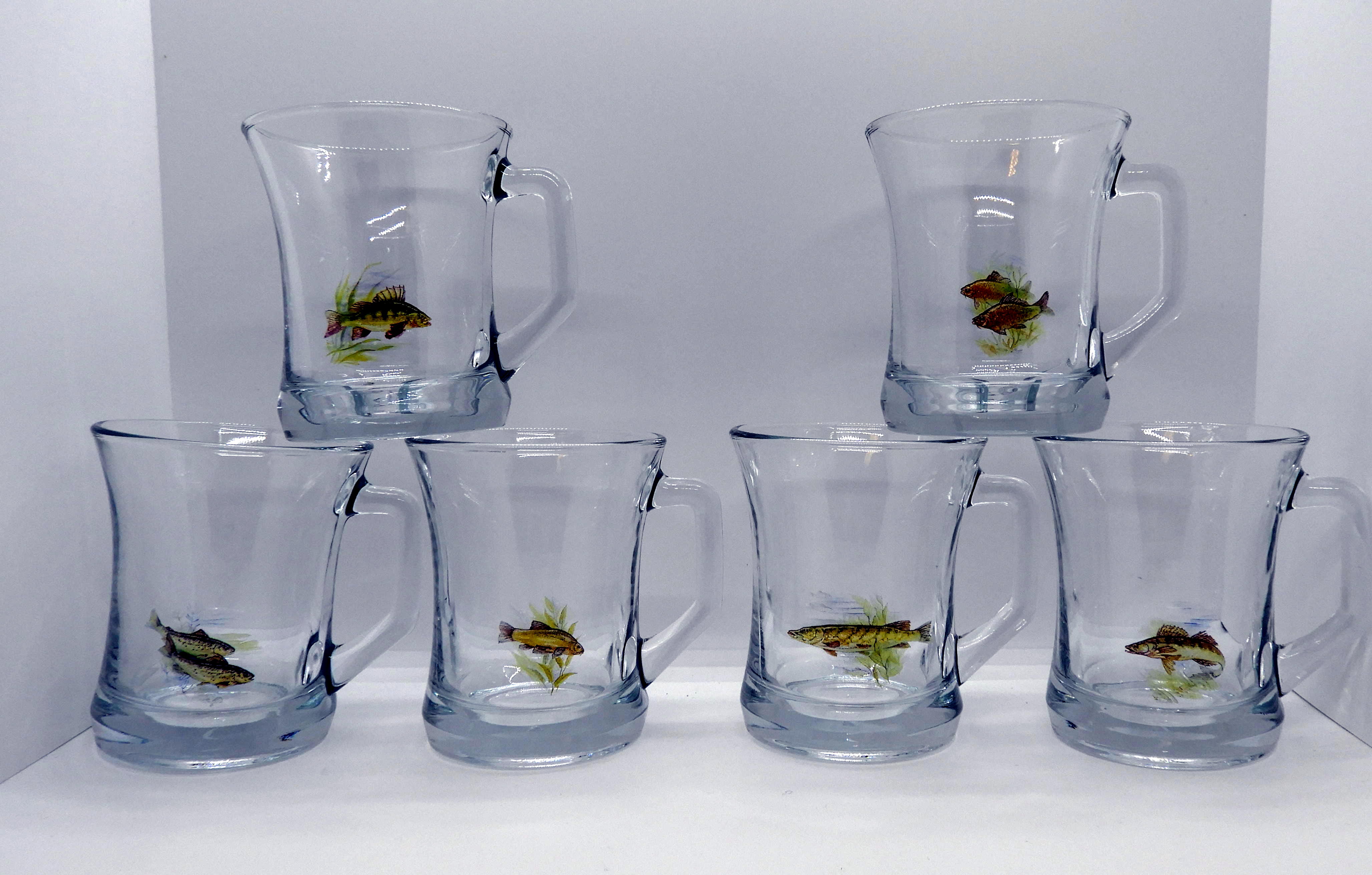 Glasmugg Zen 23 cl. Fisk 6 pack
