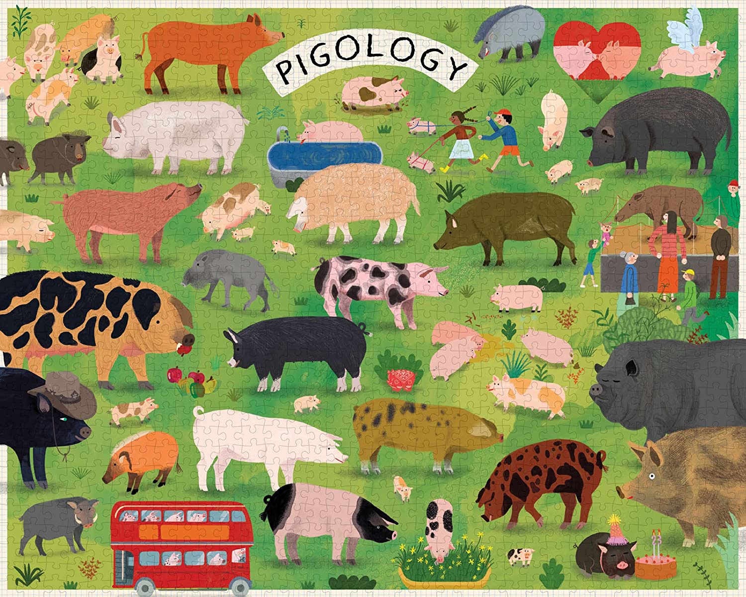 Pigology, 1000 Piece Puzzle - 2