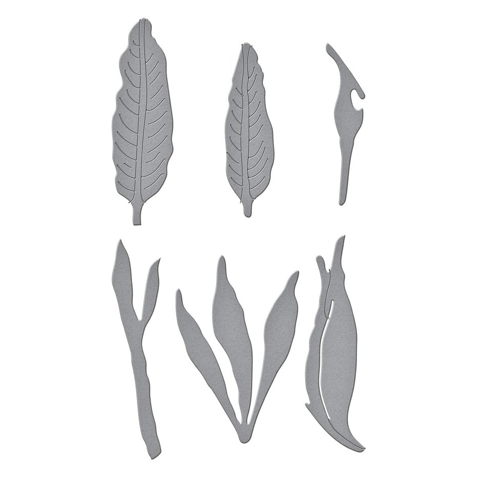 Bird of Paradise Etched Dies 