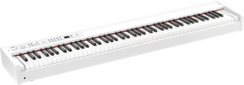 KORG D1-WH