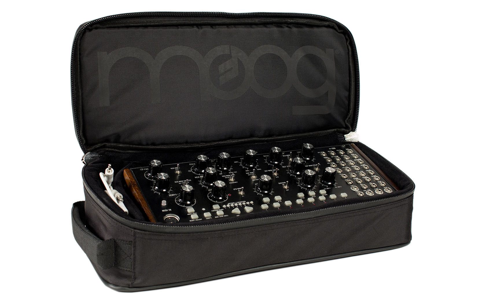Moog Mother-32, Subharmonicon & DFAM GigBag