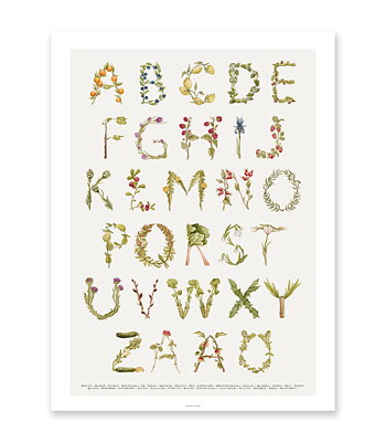 Botanical Abc Alphabet posters l ABC and number poster for the kid's room