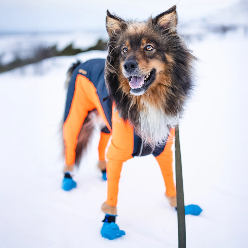 Non-Stop orange overall och blå hundskor hundsockor för snöväder