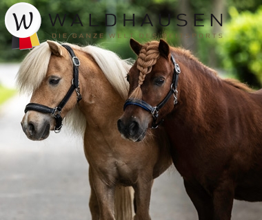 Lyst på noe fra Waldhausen?