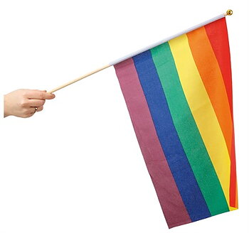 Handflagga rainbow 