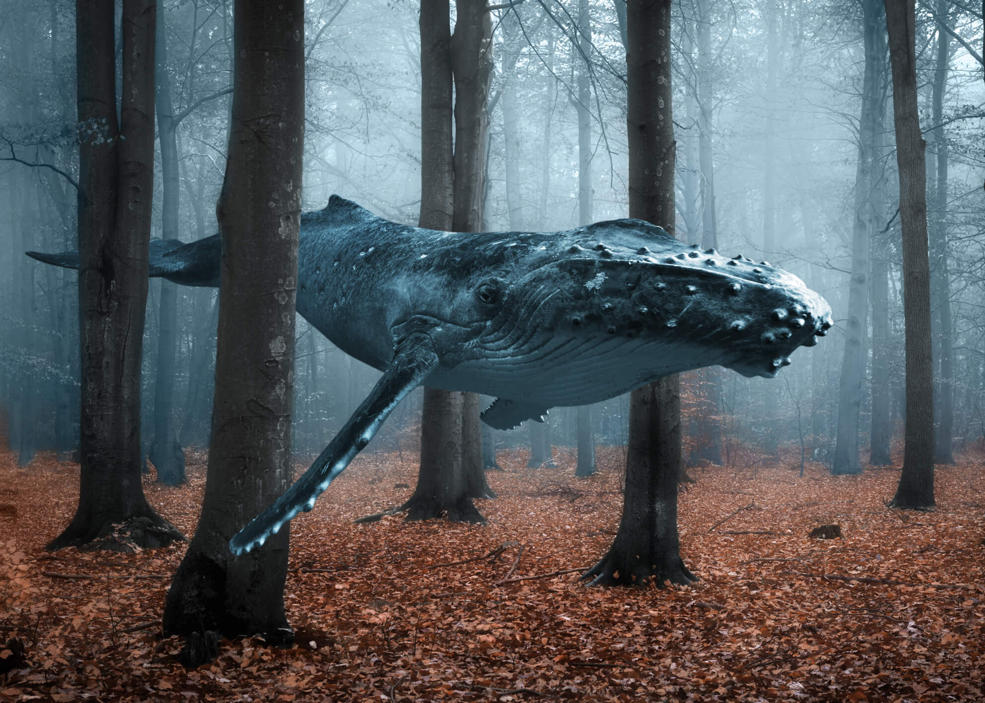 Leinwandbild eines Blauwals in einem Wald - Blue Whale