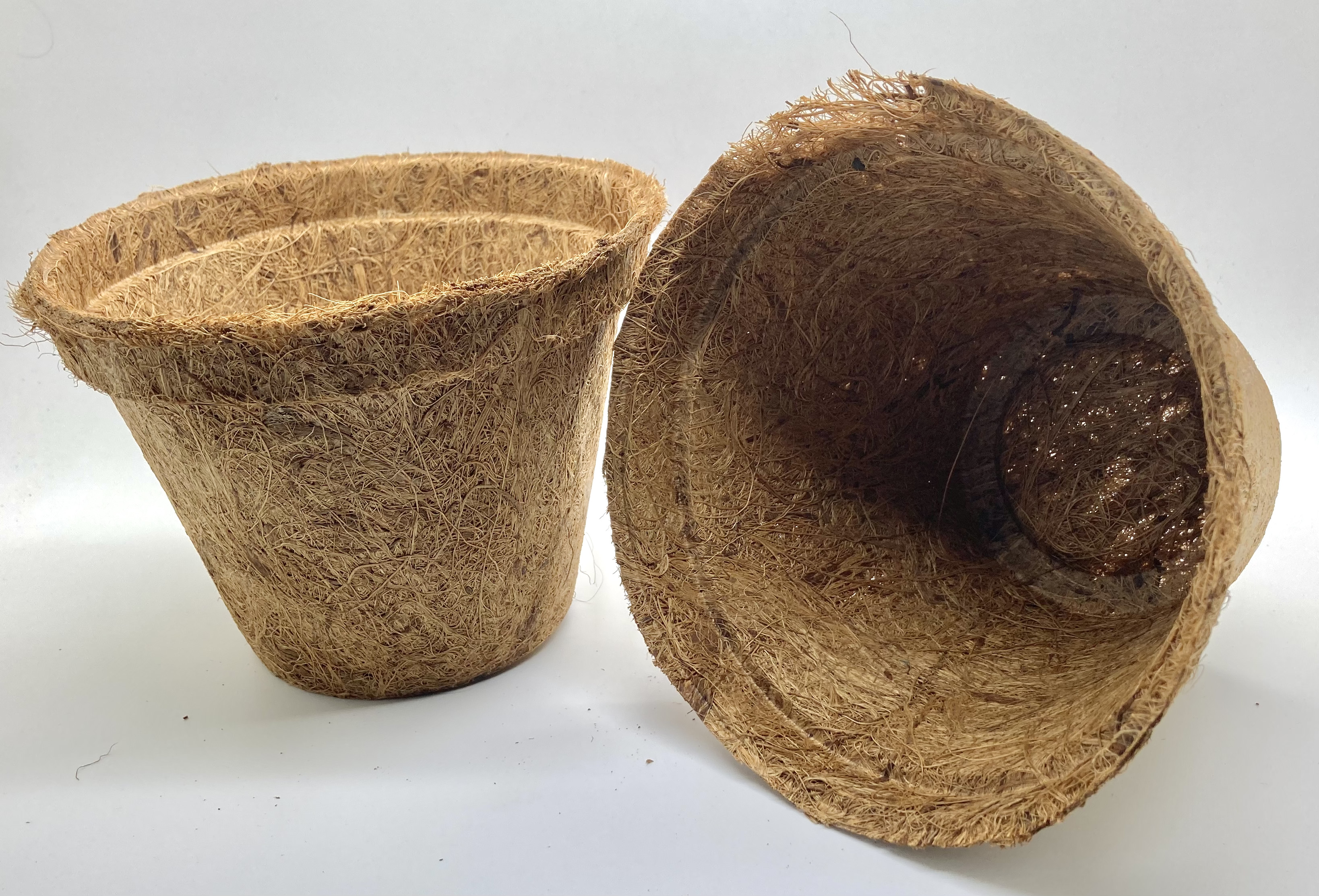 Kokoskruka 15cm (Coir Pot) 10-pack - 2