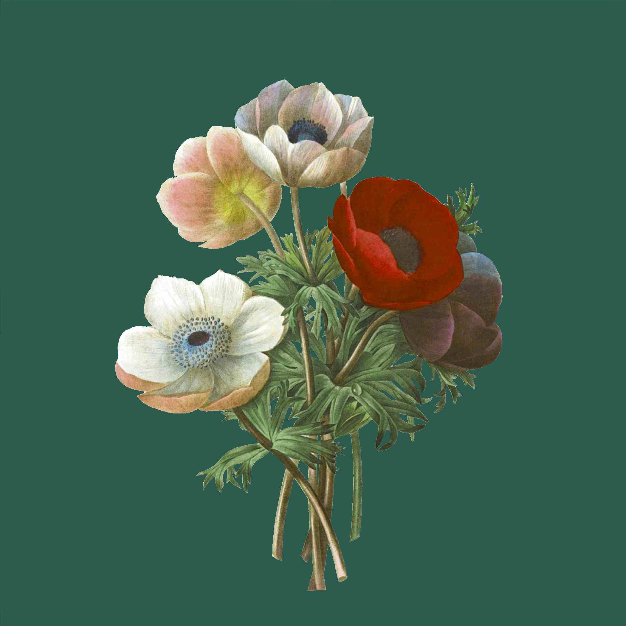 Klassisk sidenscarf från Amanda Christensen, 70 x 70 cm - 2
