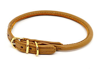 Rundsytt läderhalsband, Natur
