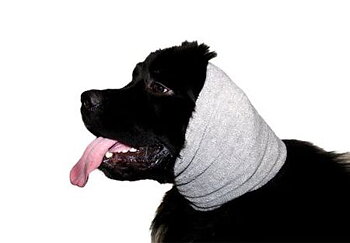 Show Tech Ear Buddy, XL