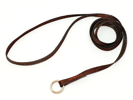 Utställning retriever. 6mmx150cm - 4