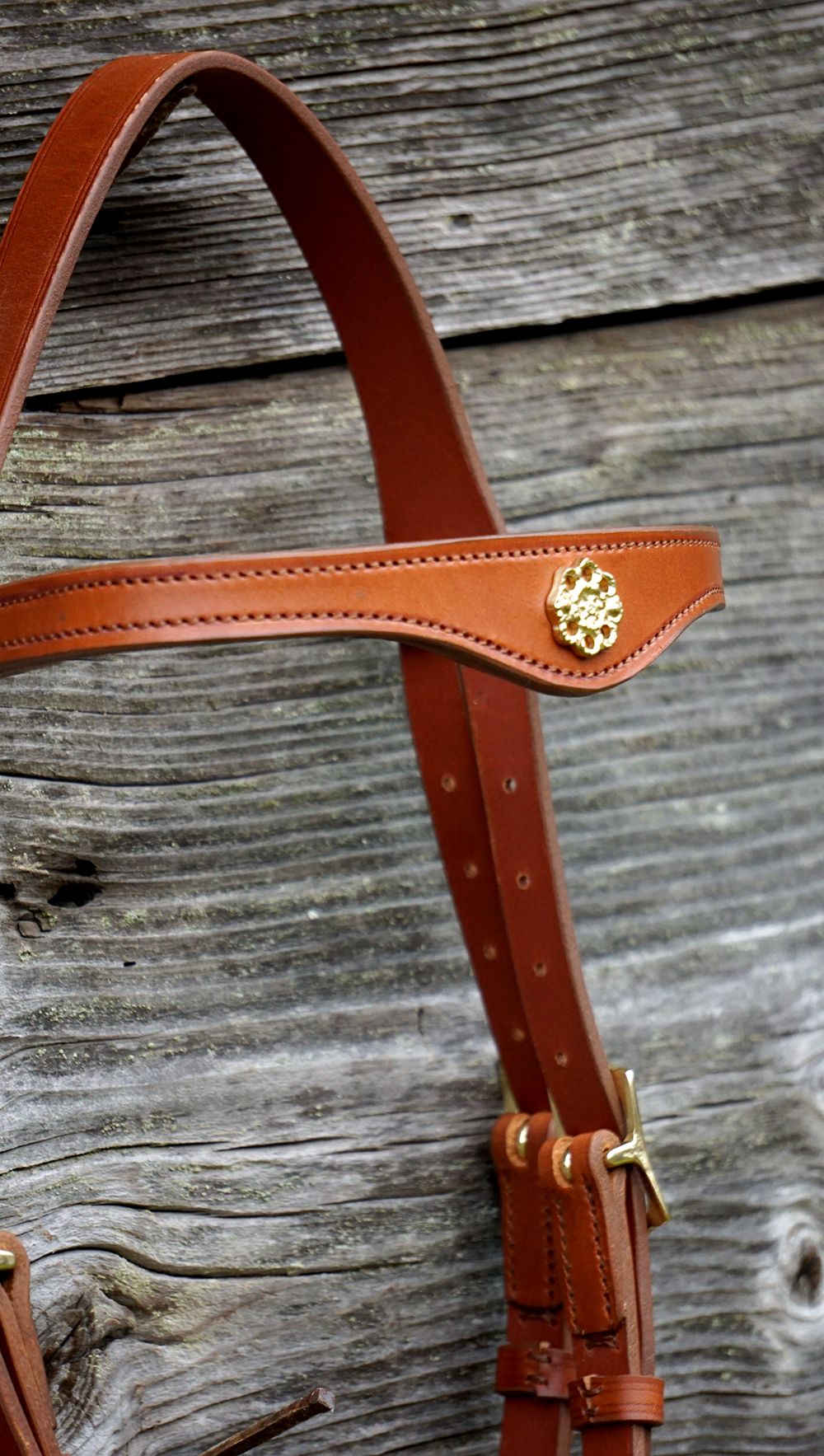 Marjoman Portuguese Lusitania Bridle inkl. tygel - 8