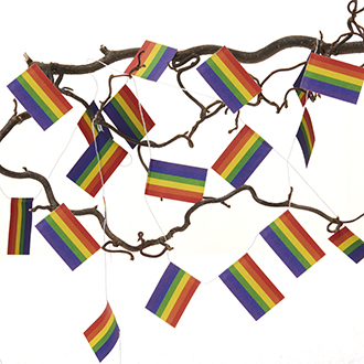 Litet flaggspel Pride (2st )  - 3