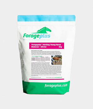 FORAGEPLUS WORKING YOUNG HORSE BALANCER | WINTER