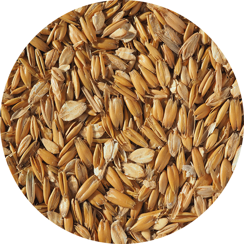 Flaked Torrefied Oats (Crisp), 40x25 kg - 2