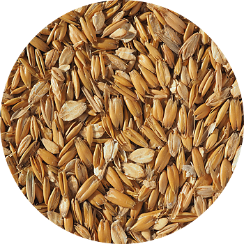 Flaked Torrefied Oats Crisp, pall 40x25 kg