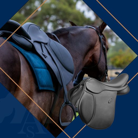 Arena Allround standard - 2