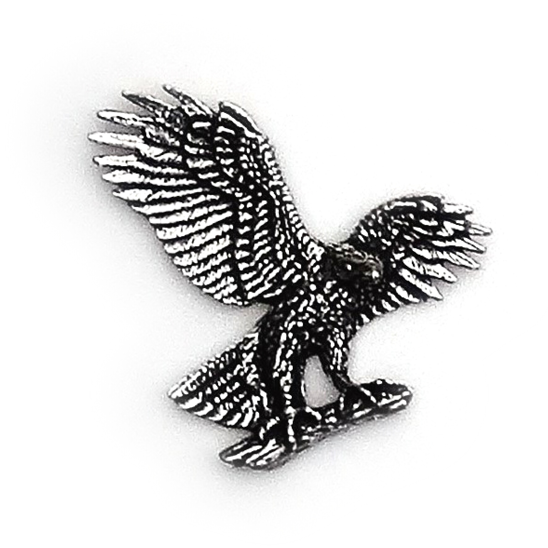 PIN Örn