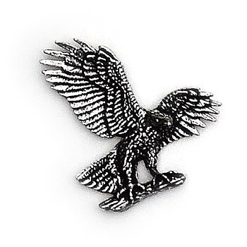 PIN Örn