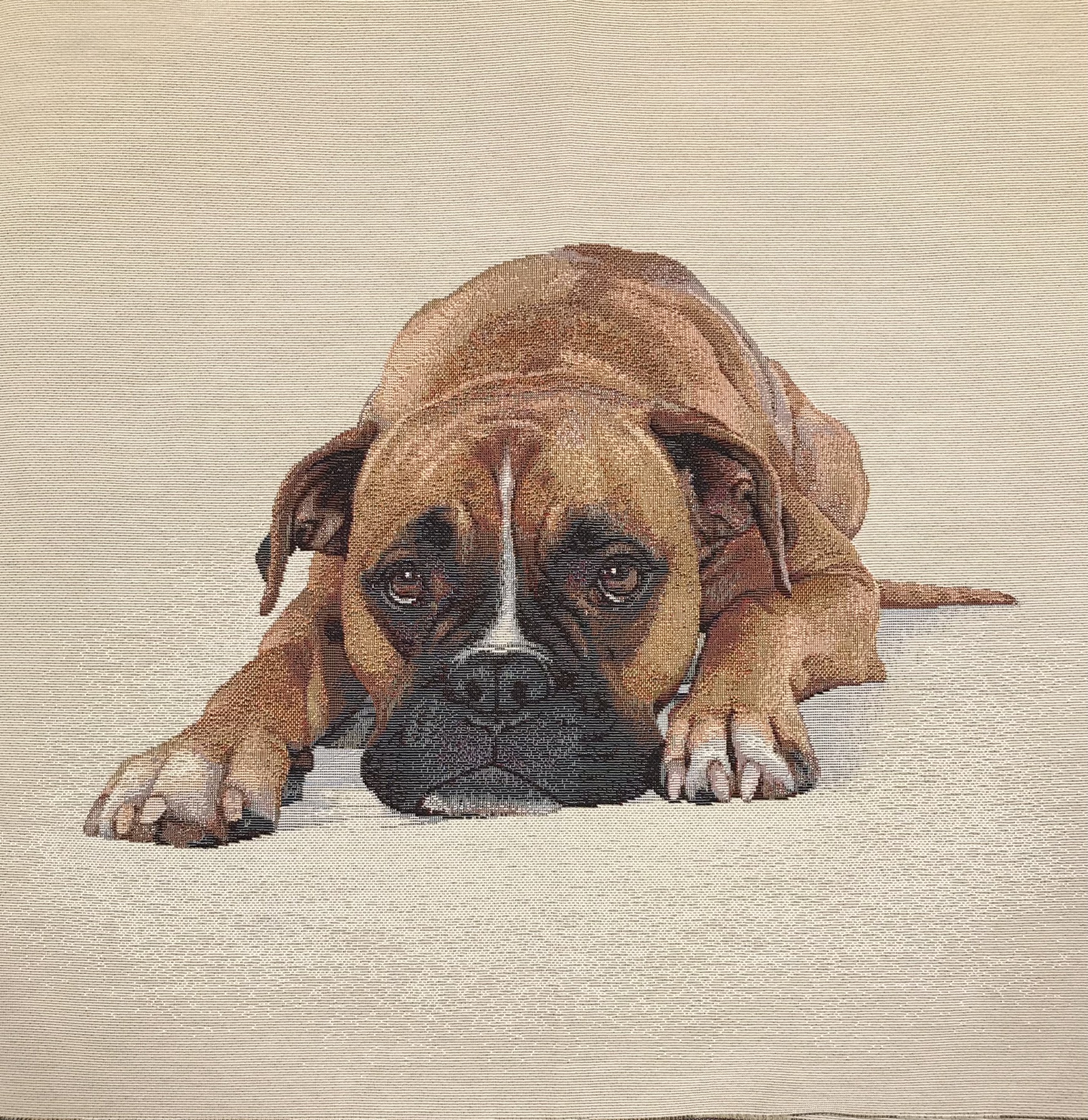 Boxer