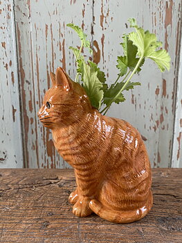 Vas katt "Vincent"