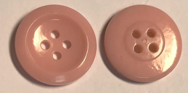 Pudicitia Rosa 19