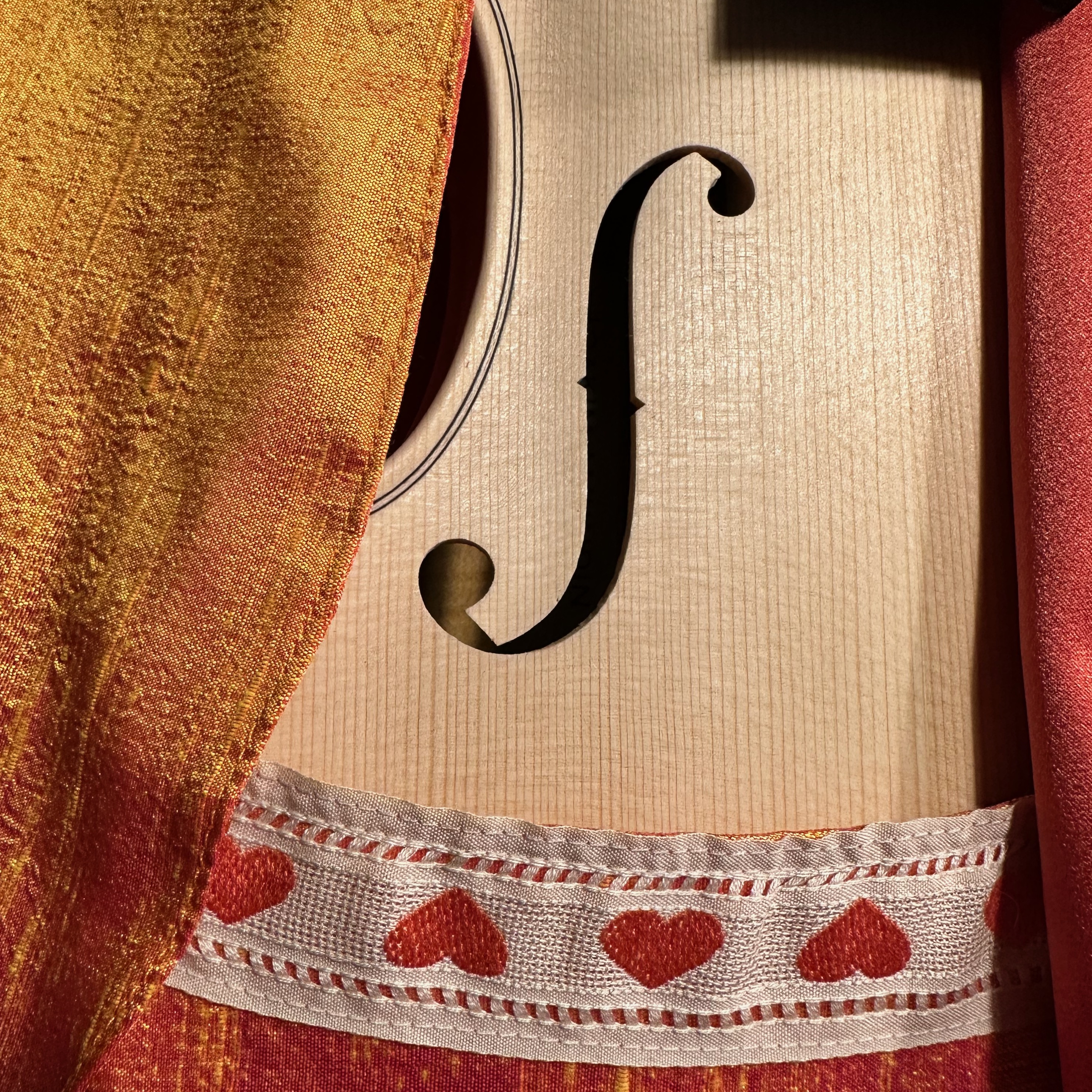 ViolinCocoon Orange Hearts - 6
