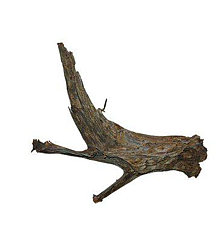 Aquadeco - Mangroverot  30-40cm