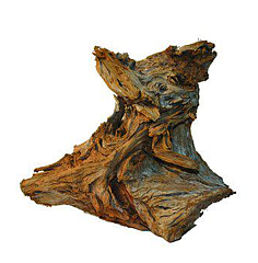 Aquadeco - Mangroverot  30-40cm