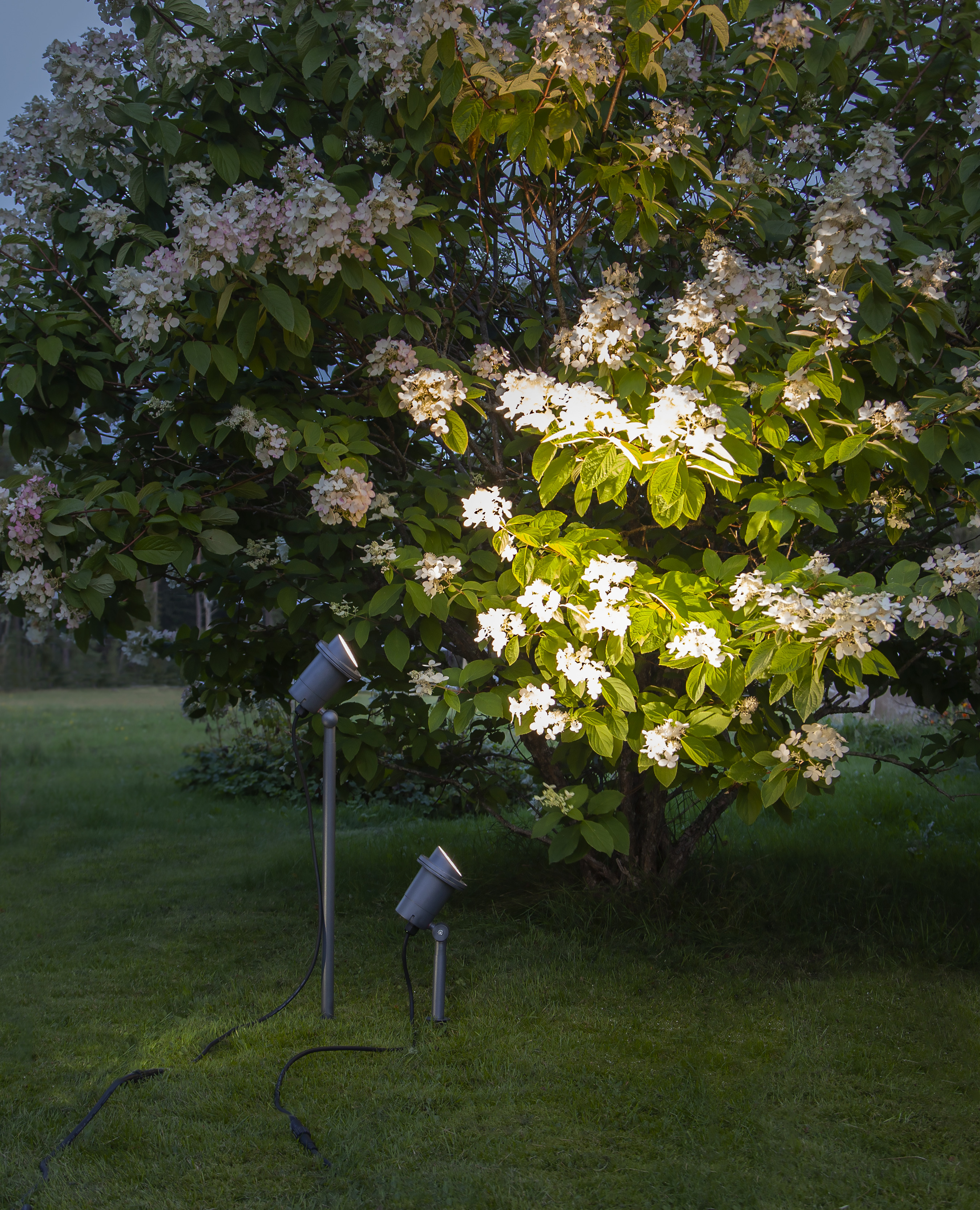 Outdoor decoration - Spotlight - 30x13 cm - 5