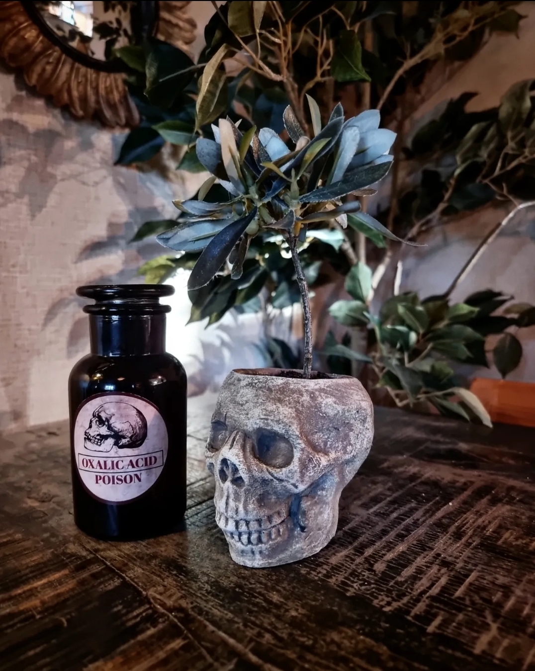 Glasburk Doftljus - Poison Skull - 4