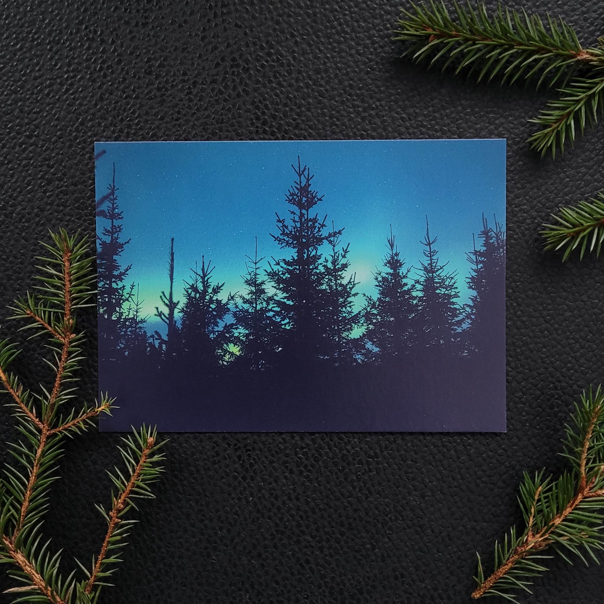Nordlys - Granskog - 3