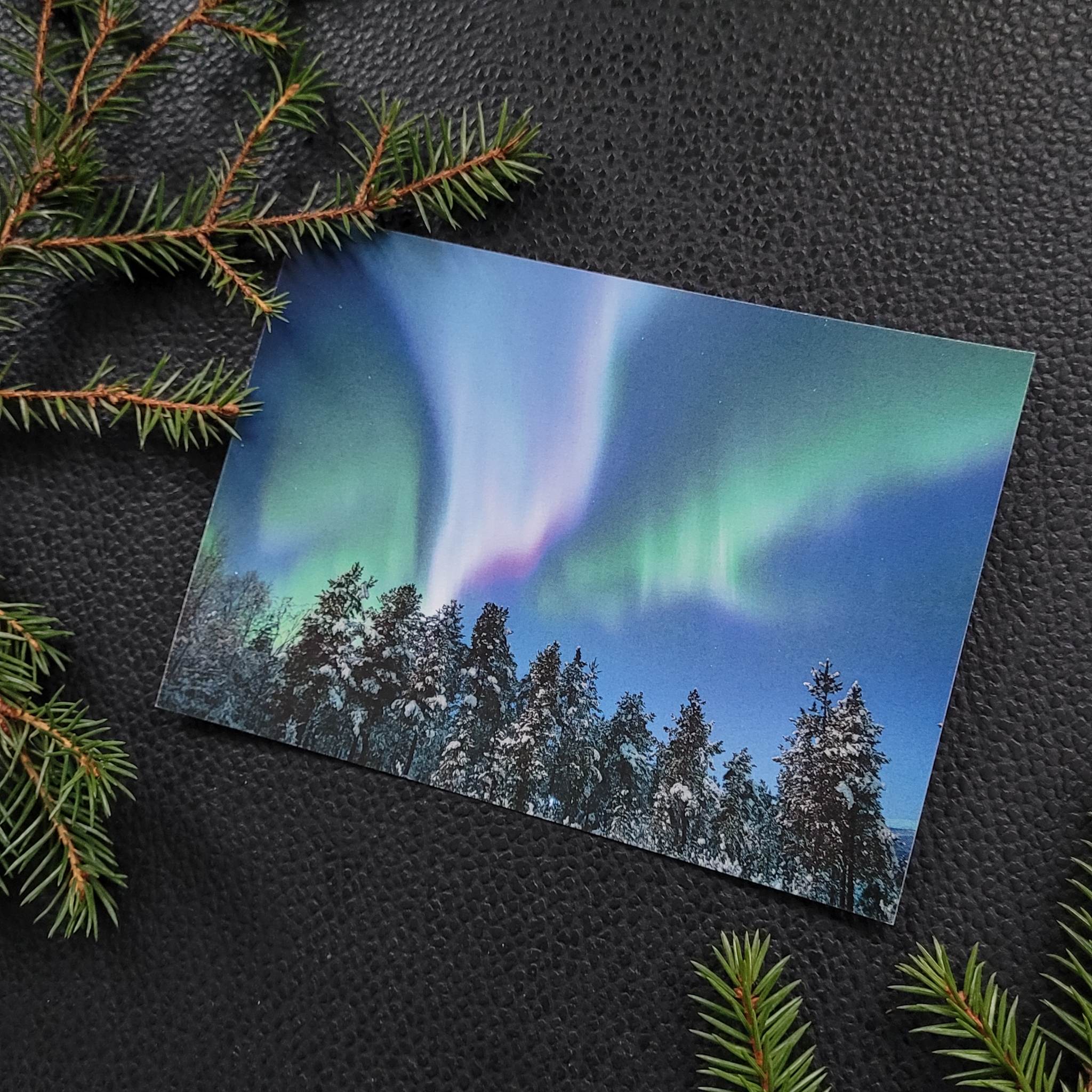 Nordlys - Skog