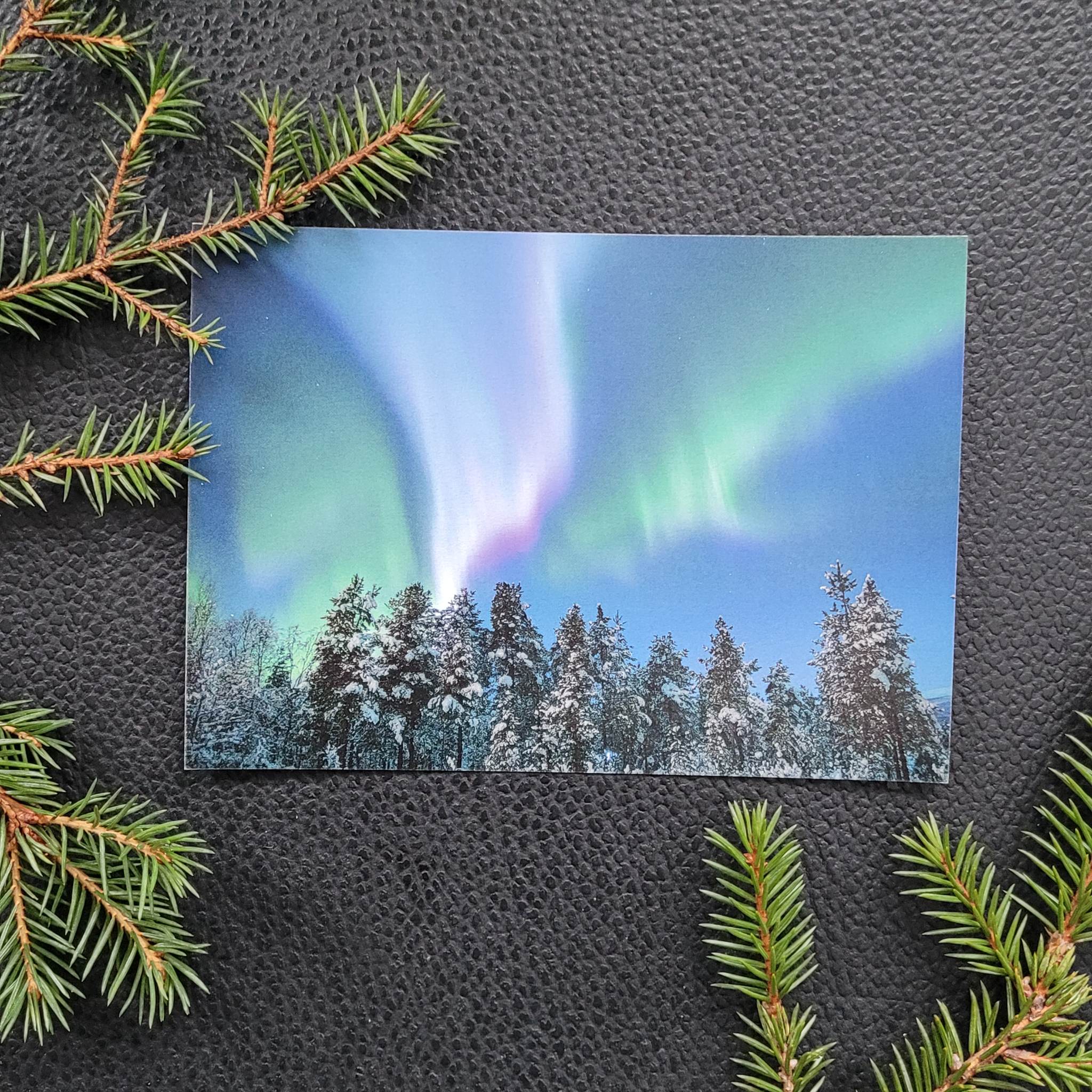 Nordlys - Skog - 3