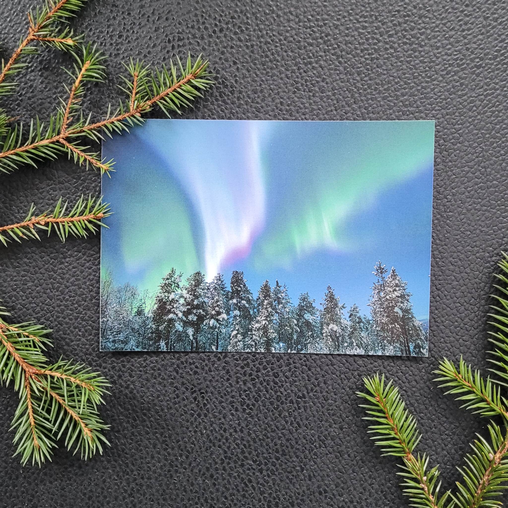 Nordlys - Skog